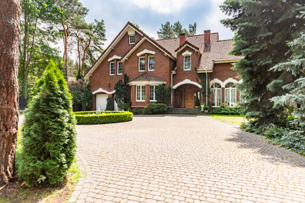 Best Driveway Paving Near Me  in Willard, UT