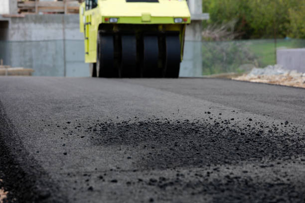 Best Driveway Paving Contractor  in Willard, UT