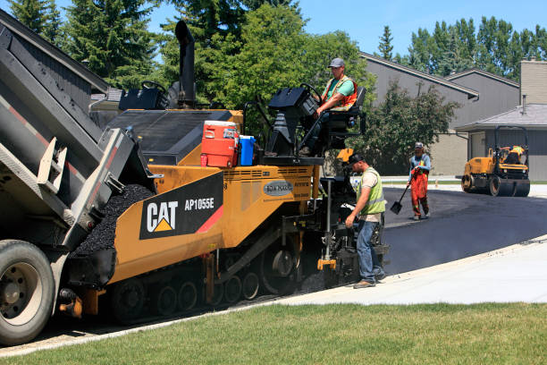 Best Local Driveway Pavers  in Willard, UT